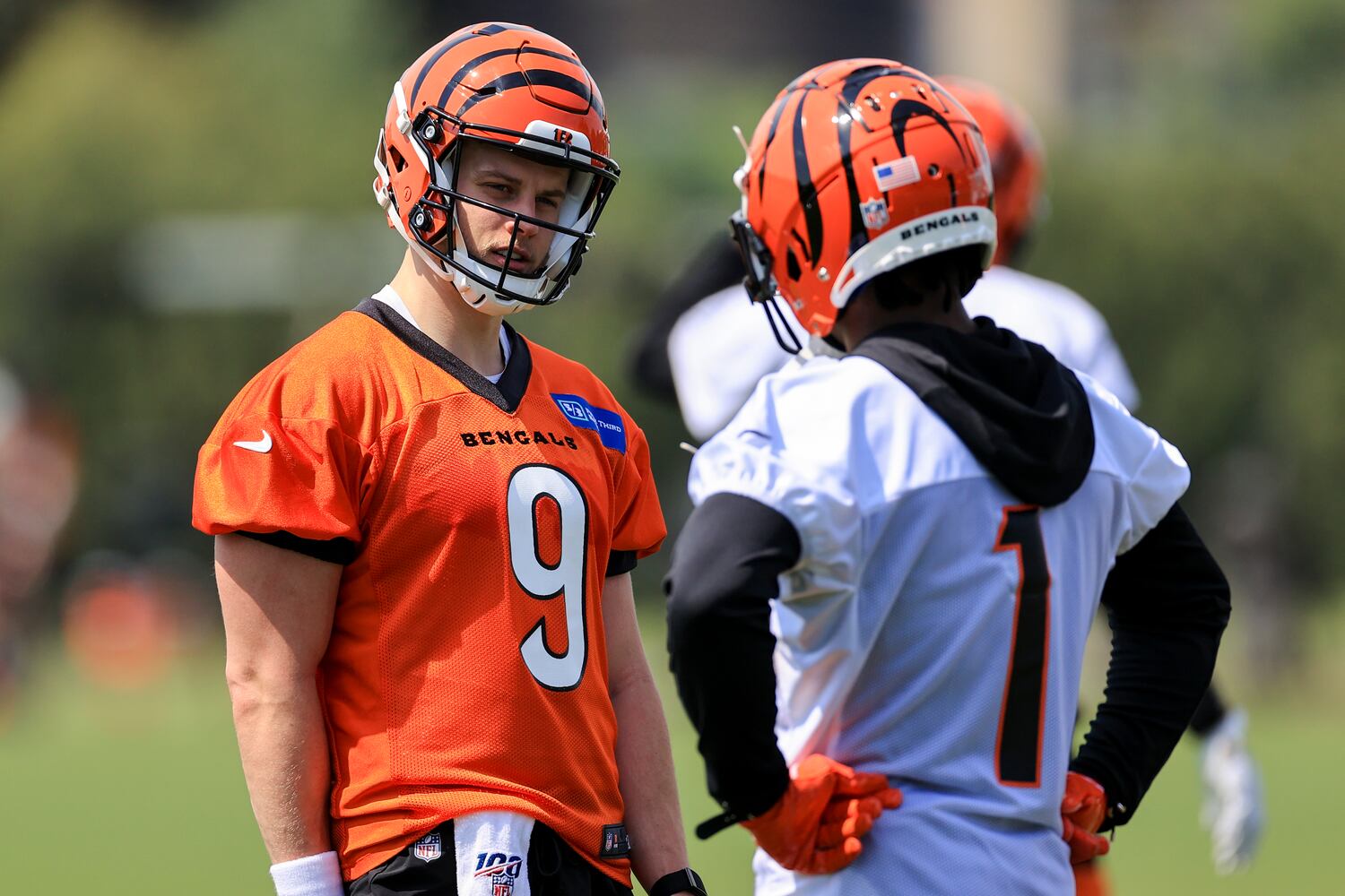 Bengals Football