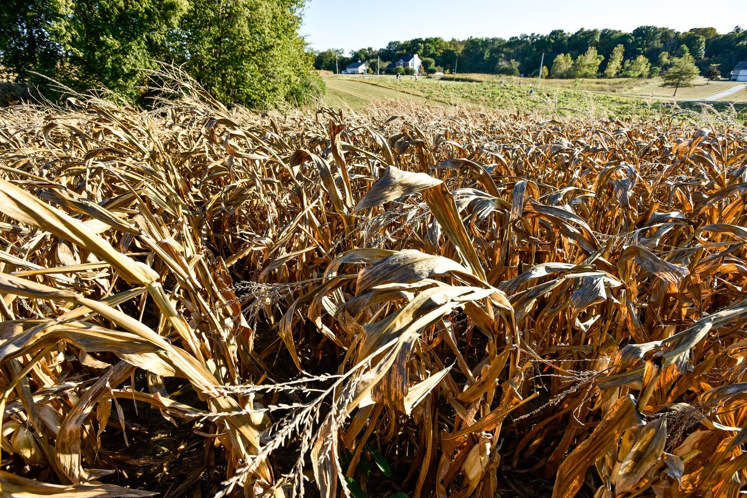 Jackson Family Farm offers visitors a chance to learn about farm life