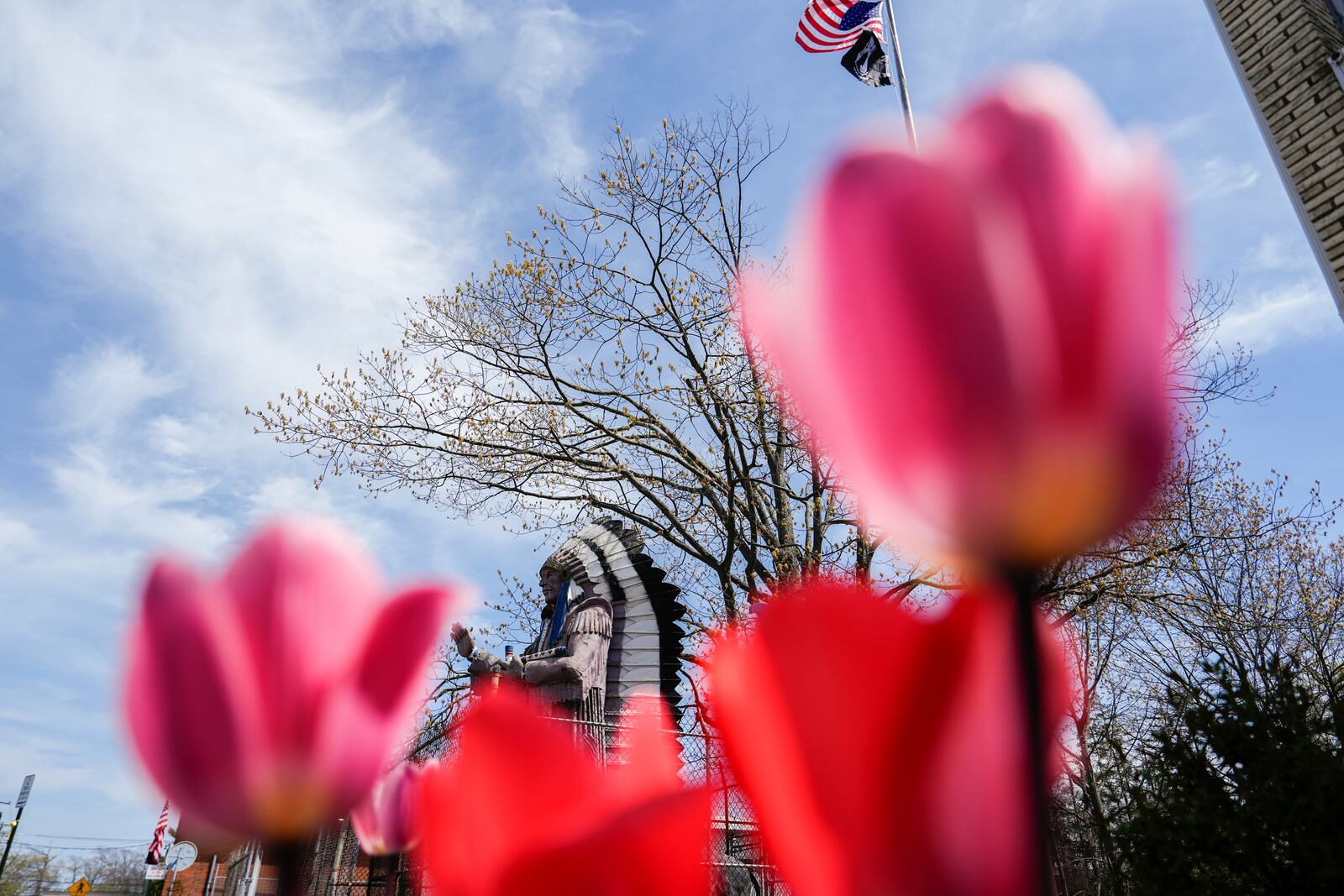The Big Chief Lewis statue stands in Massapequa, N.Y., Friday, April 25, 2025. (AP Photo/Julia Demaree Nikhinson)