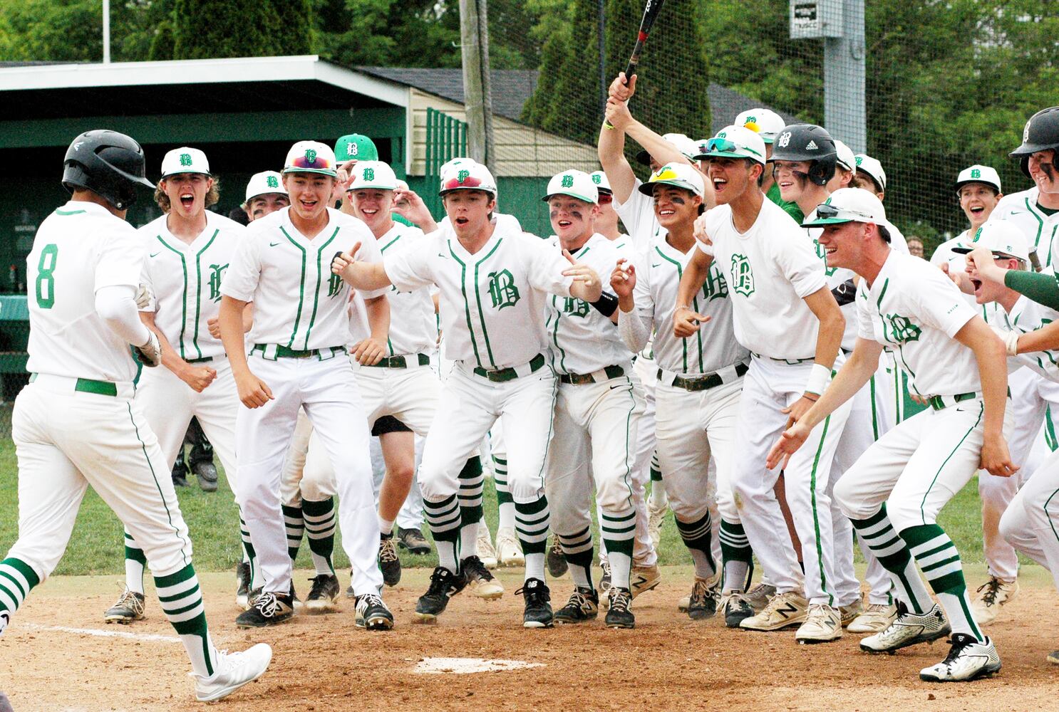 PHOTOS: Badin Vs. Oak Hills Division I Sectional High School Baseball