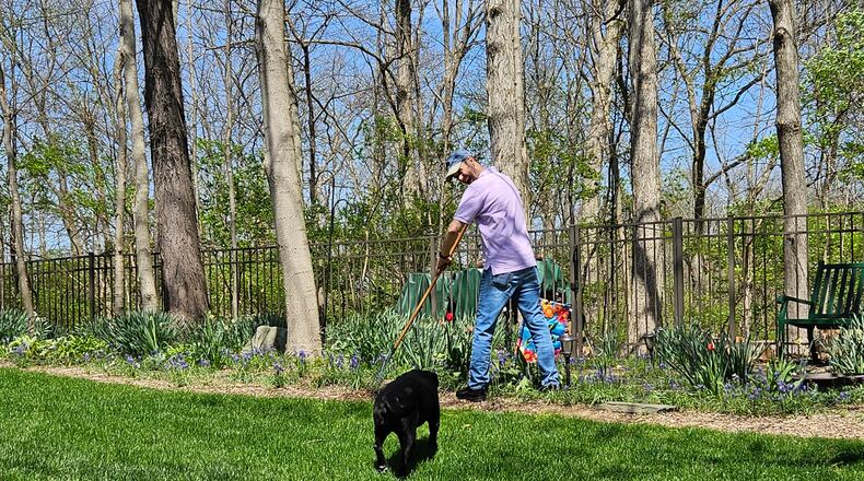 Teddy is "overseeing" Ed's spring clean up efforts in the pooch's backyard. CONTRIBUTED