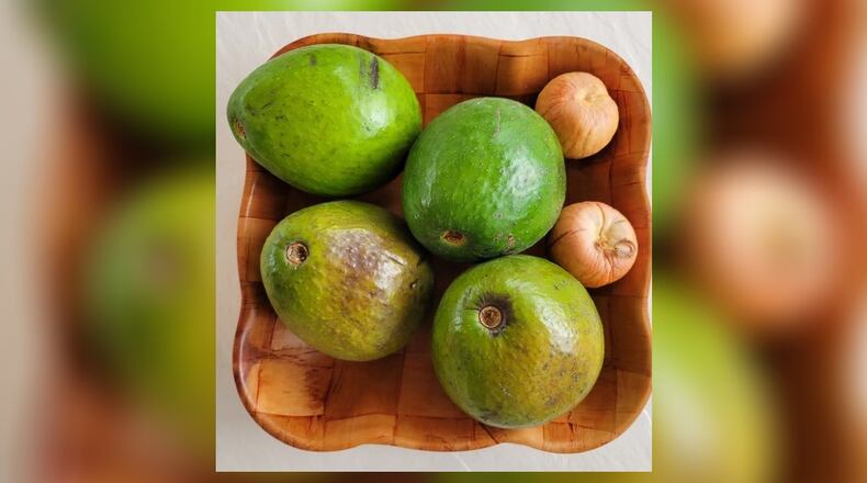 Florida avocados are large light smooth skin and hold their shape, so they are better suited for filling the space left by the pit. The special bonus with a Florida avocado is that a miniature tree sprouts from the pit when suspended in water. CONTRIBUTED
