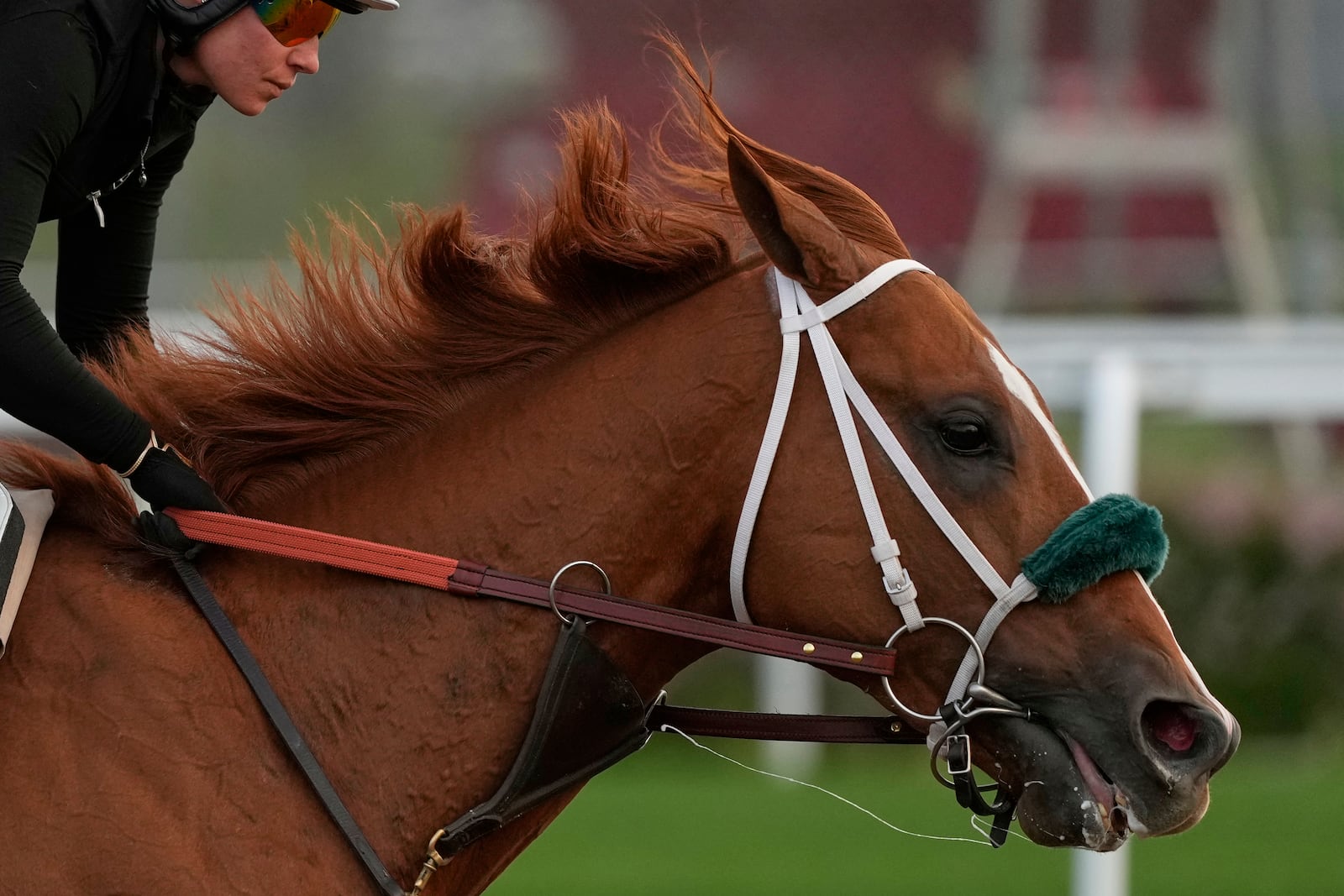 A race horse works out at Churchill Downs Tuesday, April 29, 2025, in Louisville, Ky. (AP Photo/Charlie Riedel)