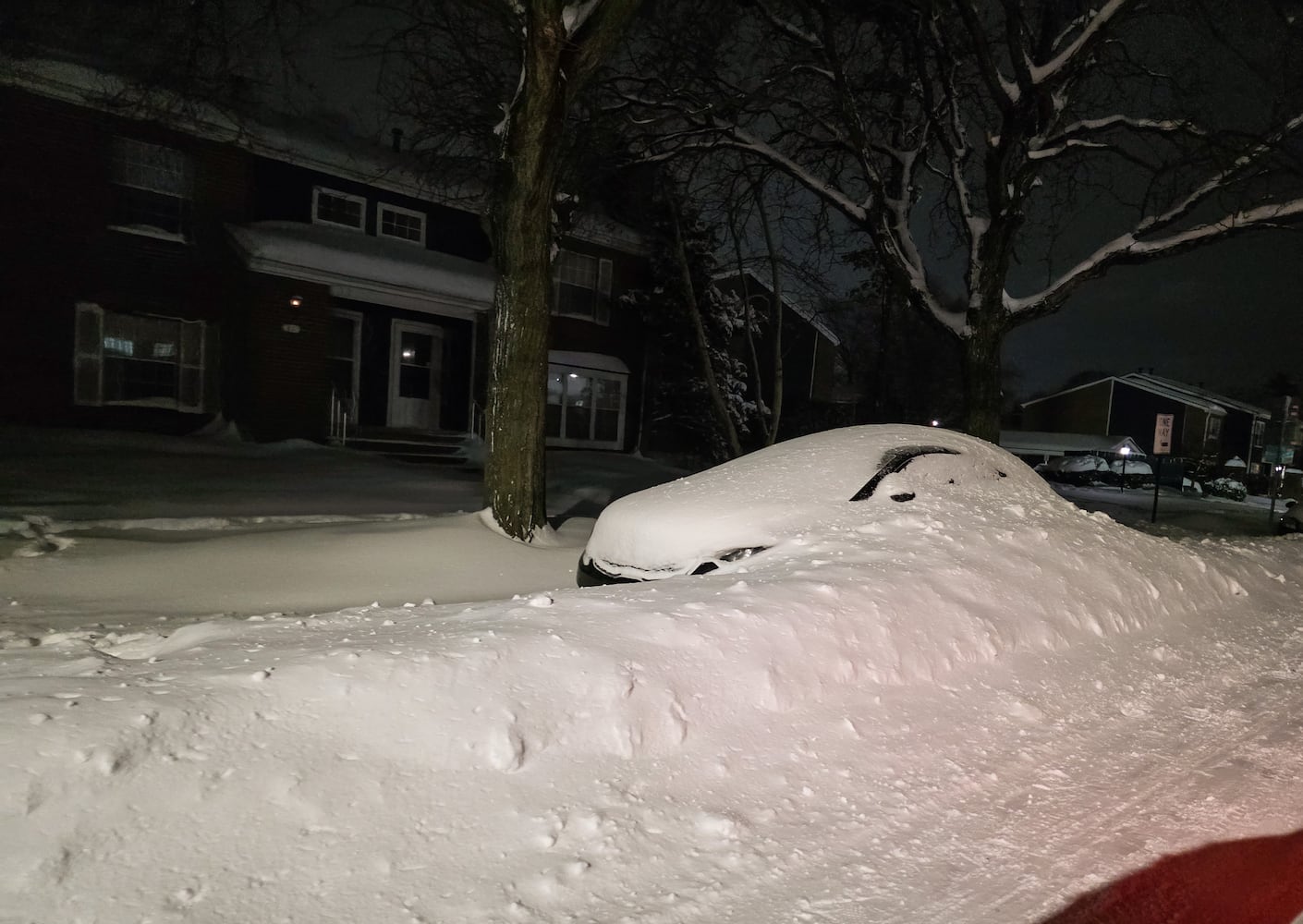 012526 Snow-Covered Cars