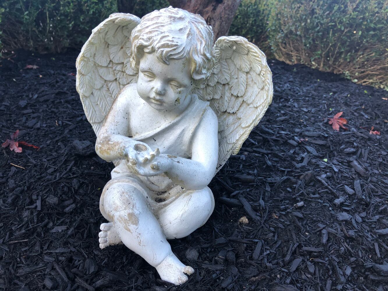 HEAL Garden dedicated to those lost during pregnancy or after birth