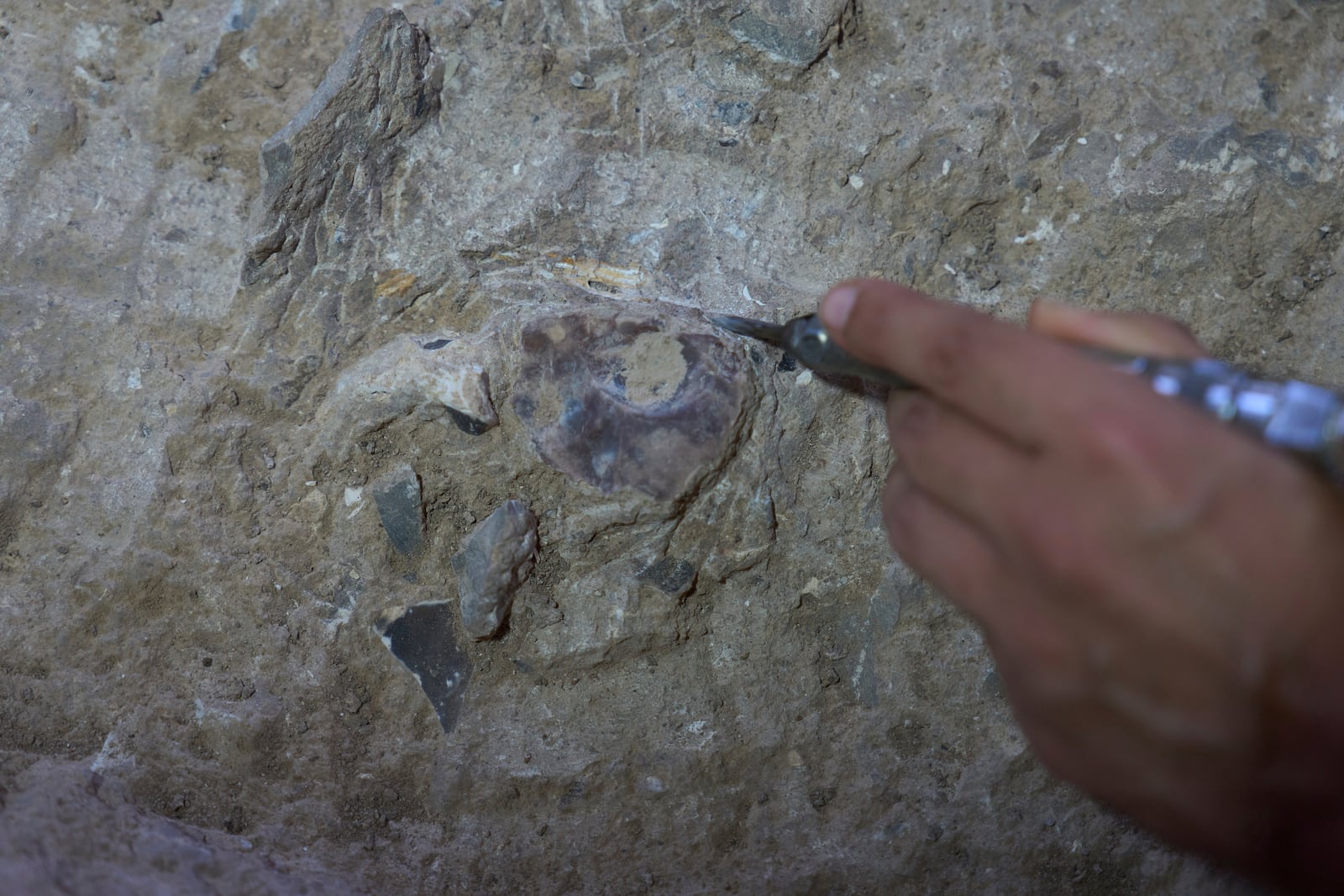 Volunteers work in Tinshemet Cave, where archaeologists are excavating one of the world's oldest known burial sites, dating back 100,000 years, near Shoam, Israel, Tuesday, July 15, 2025. (AP Photo/Ariel Schalit)