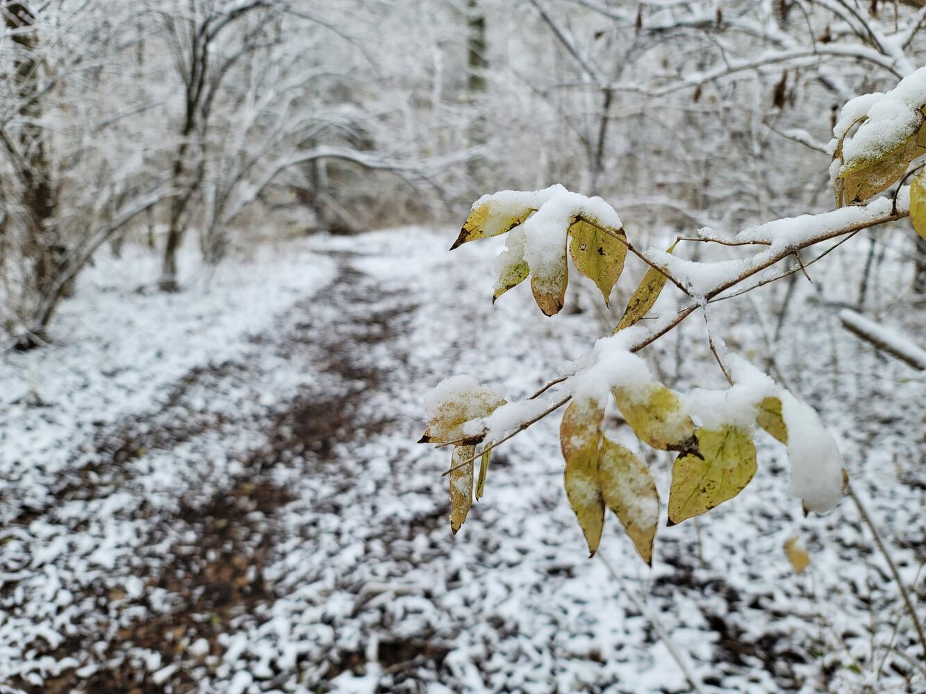 120120 butler snow
