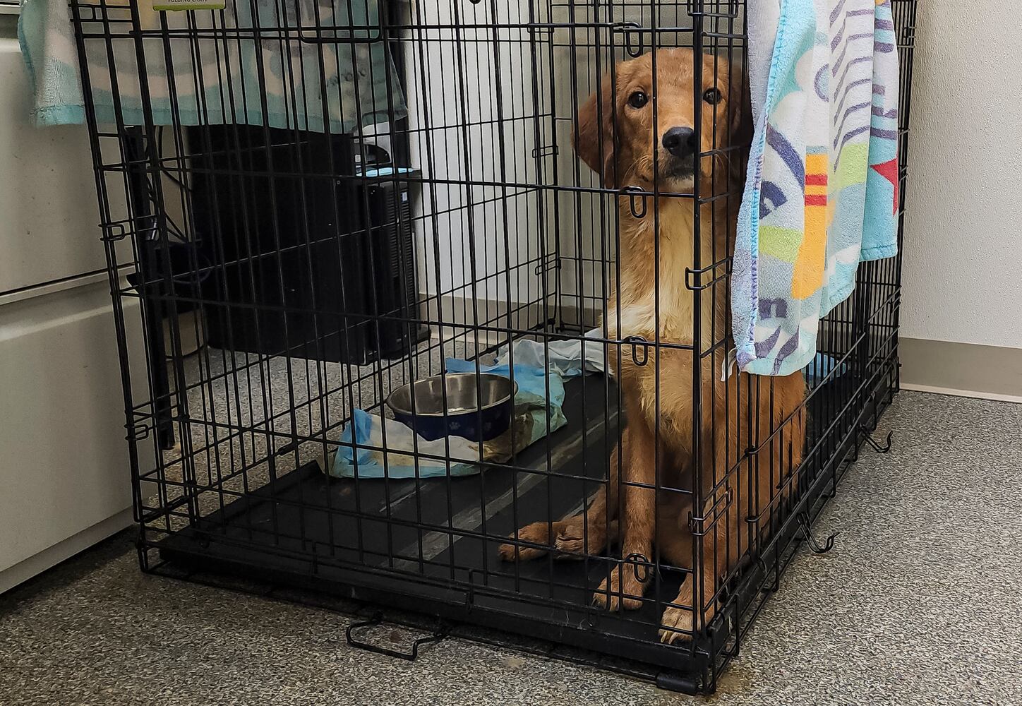 072823 animal rescue
