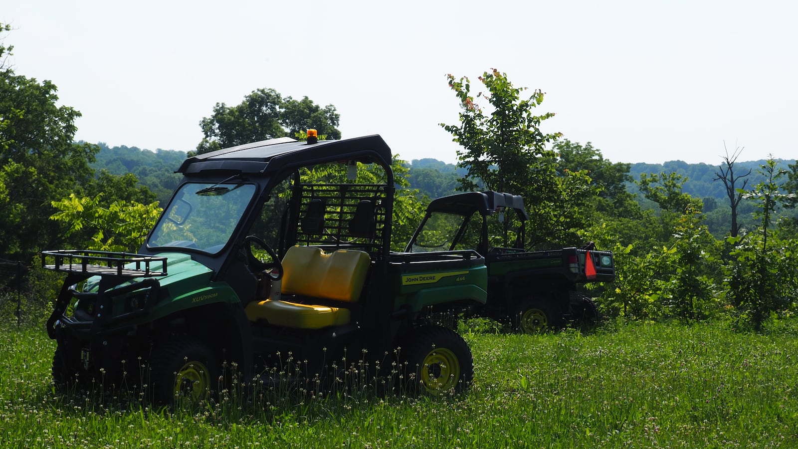 Over a thousand native trees have been planted in Timberman Ridge MetroPark thanks to volunteers and staff. BRYN DIPPOLD/STAFF
