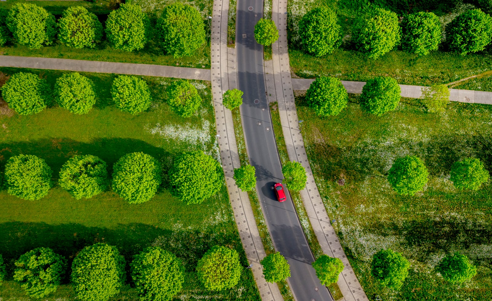 FILE - A car drives between trees in a small park in Frankfurt, Germany, April 8, 2024. (AP Photo/Michael Probst, File)