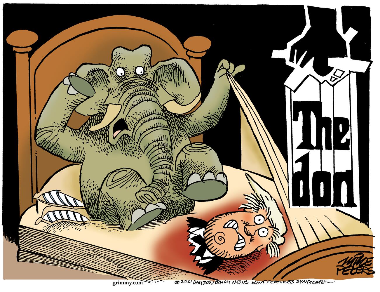 Week in cartoons: Georgia election, Capitol riots and more