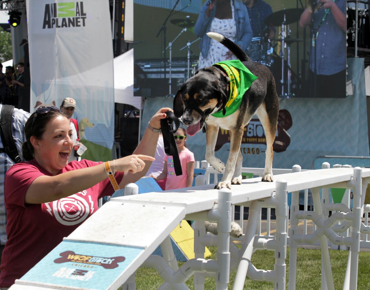 News hounds (7/9/15)