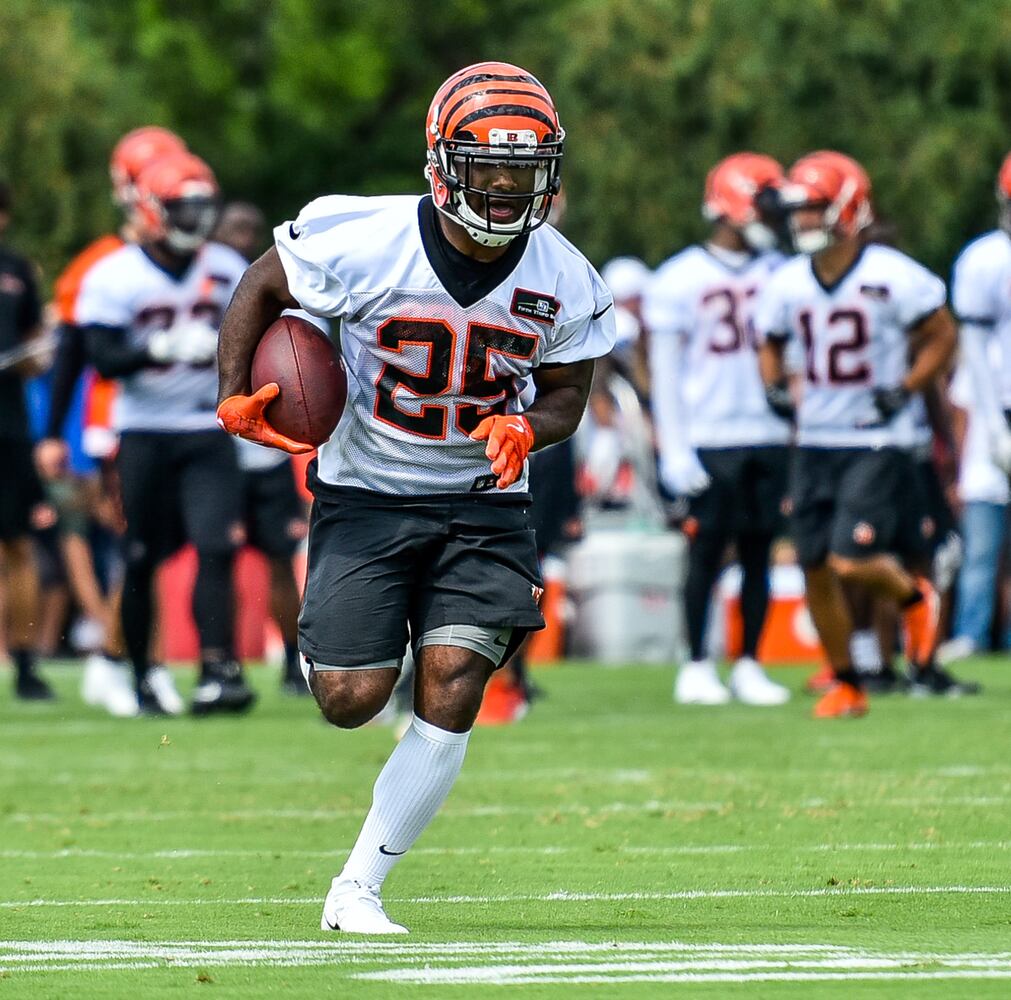 Bengals Training Camp Day 1