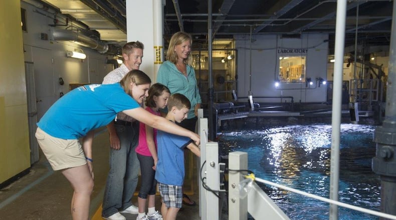File photo: Newport Aquarium in Northern Kentucky is a popular “learning” destination for many families. CONTRIBUTED