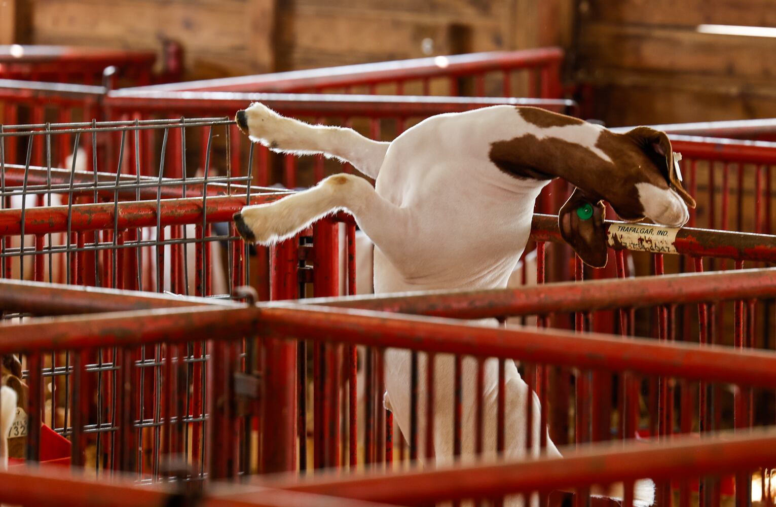 072721 BC Fair