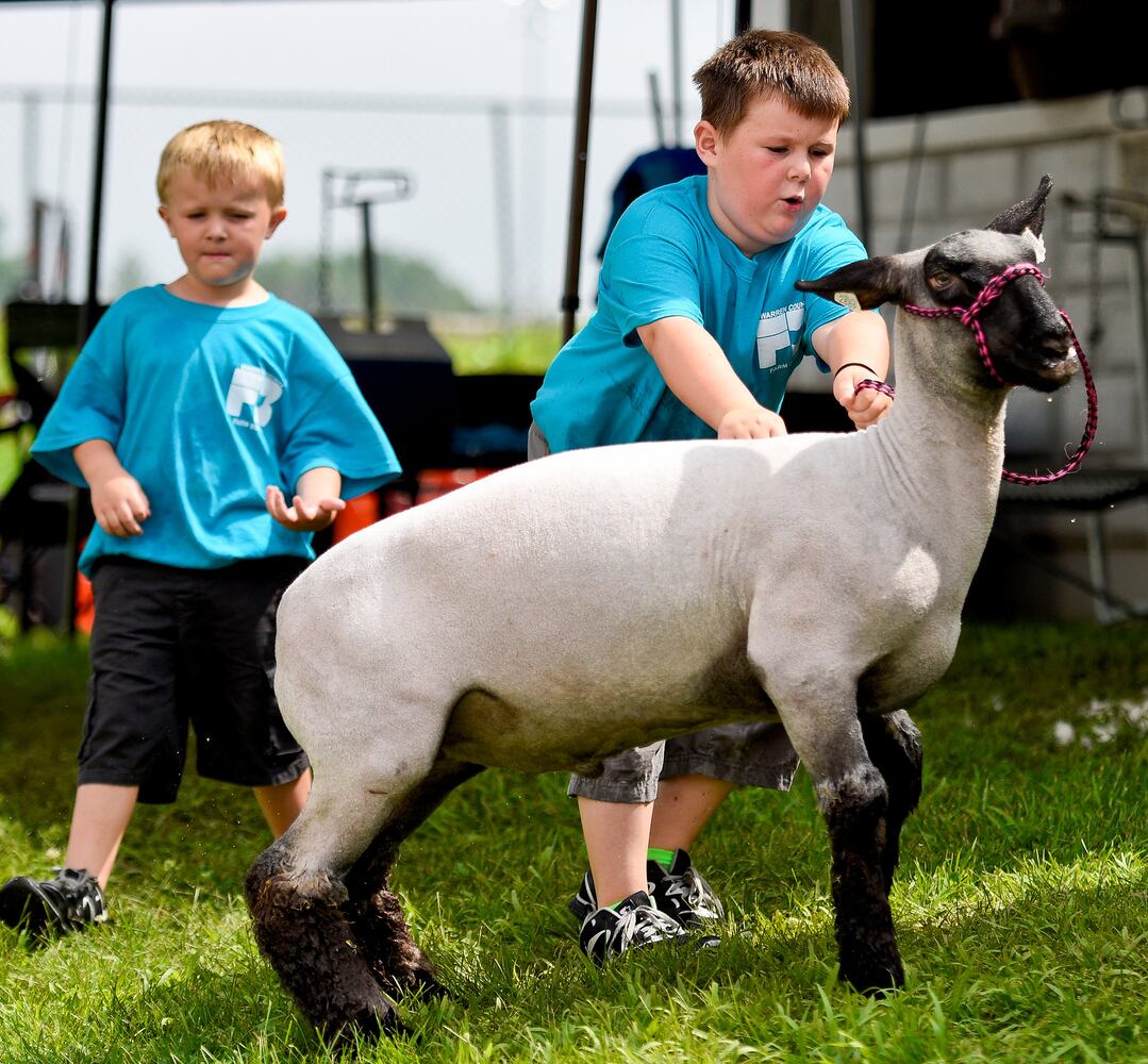 Warren County Fair 2015 Day 1