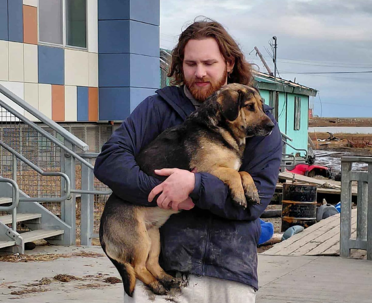 US Extreme Weather Alaska Typhoon Dog Evacuation 