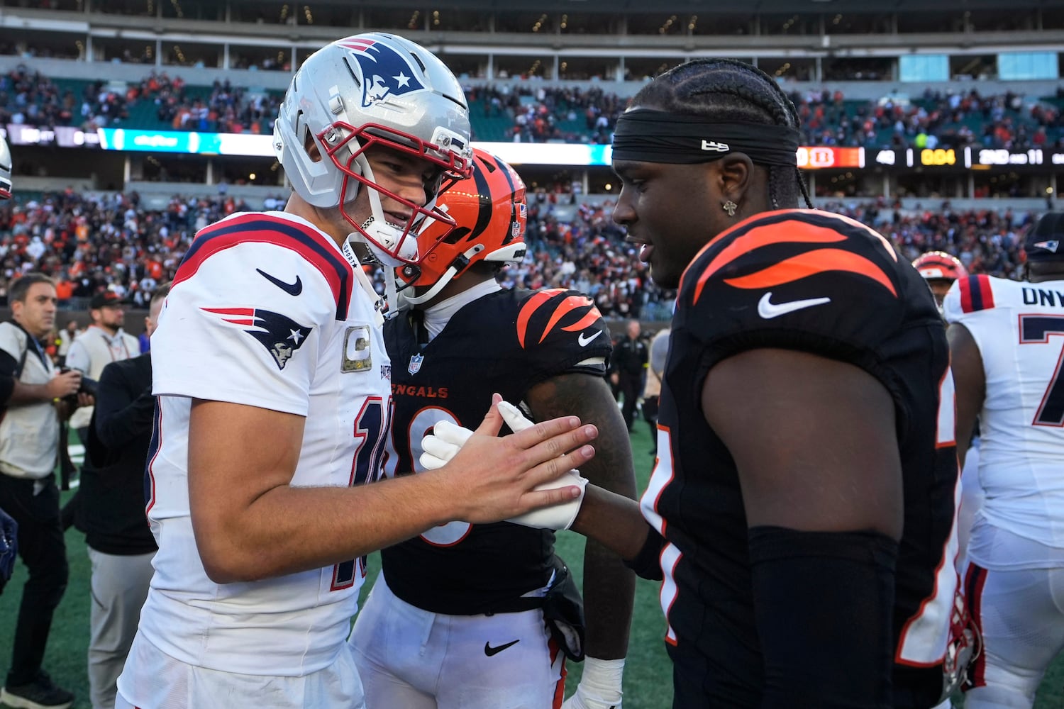 Patriots Bengals Football