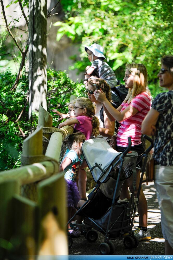 Gorilla Exhibit re-opens