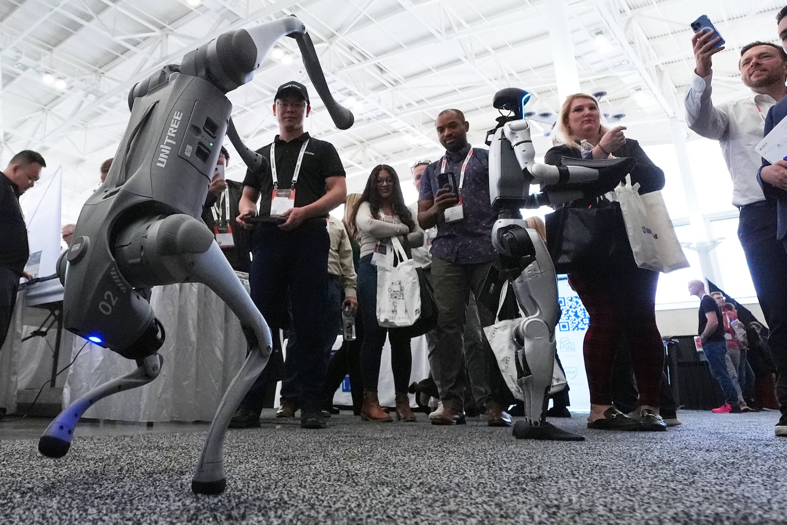 A dog-like Unitree robot performs during a demonstration as a human-like Unitree robot passes out company brochures to convention guest at the Robotics Summit & Expo, Wednesday, April 30, 2025, in Boston. (AP Photo/Charles Krupa)