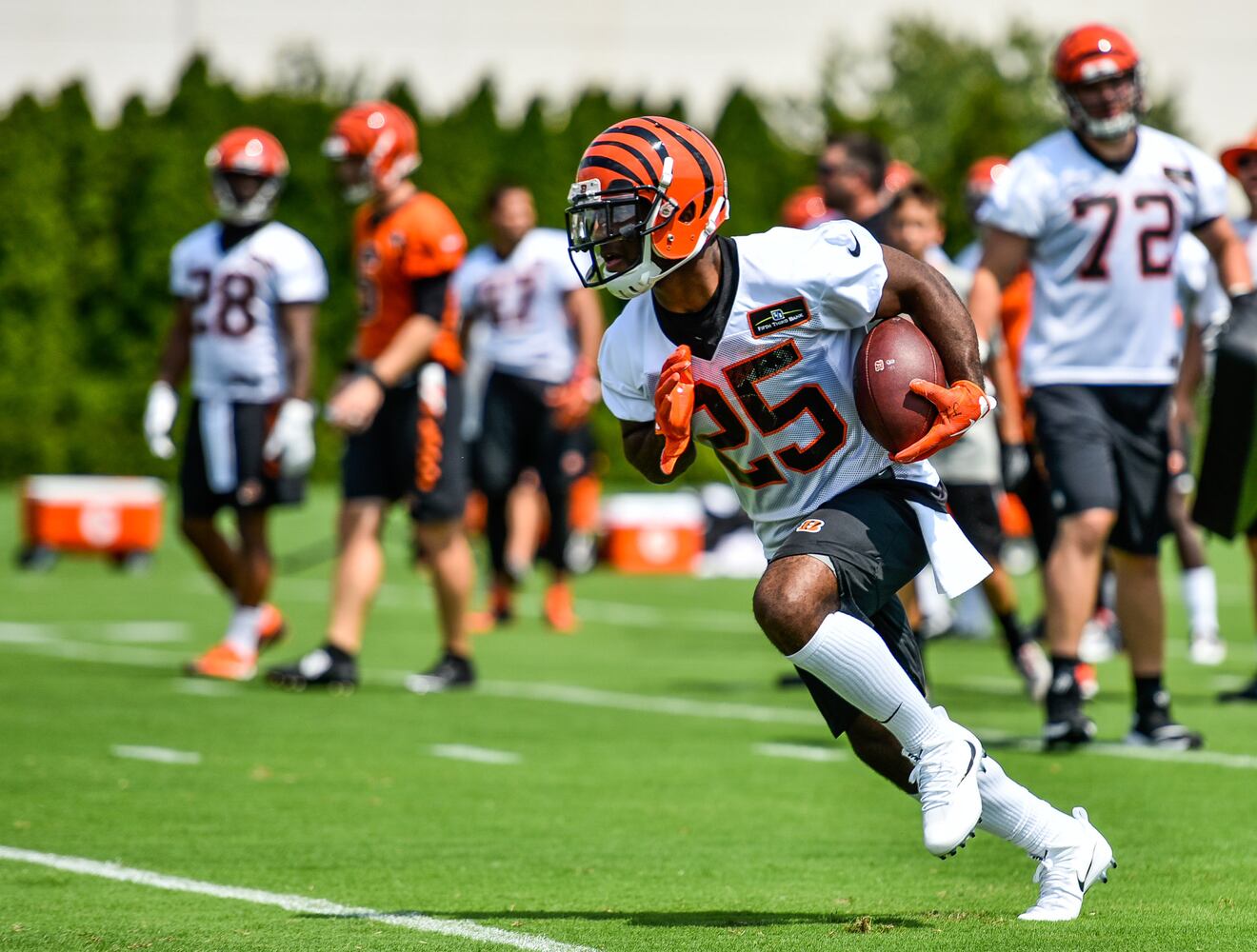 Bengals Training Camp Day 1