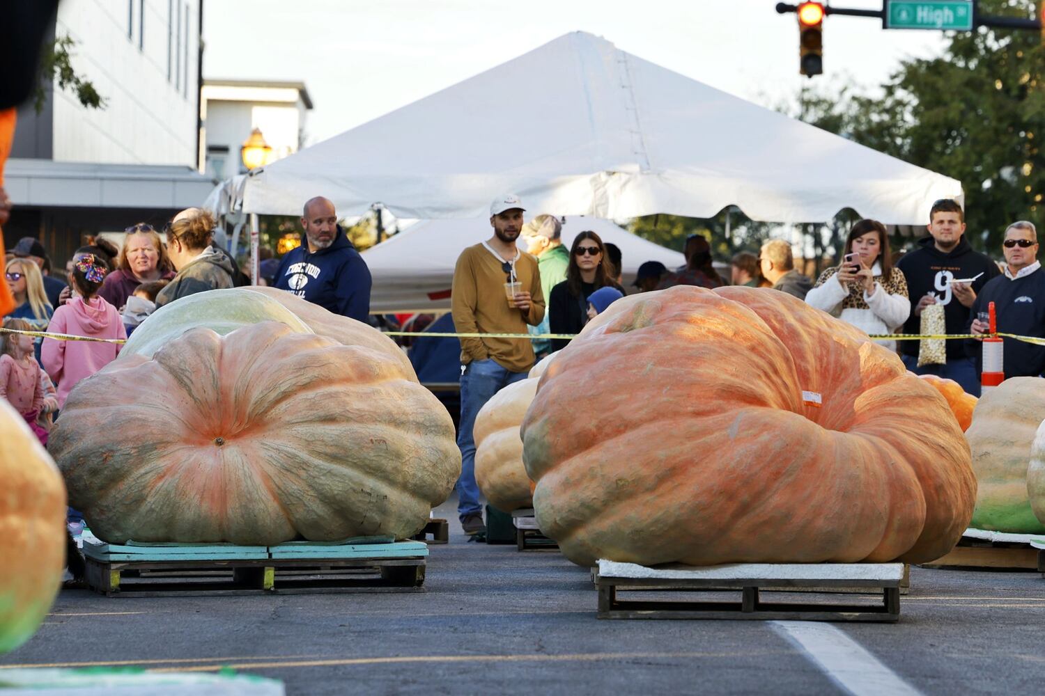 100822 Operation Pumpkin
