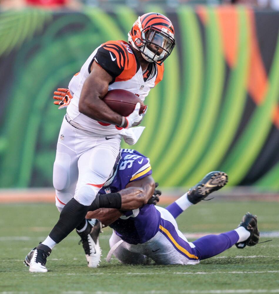 Bengals vs Vikings Pre-season Game
