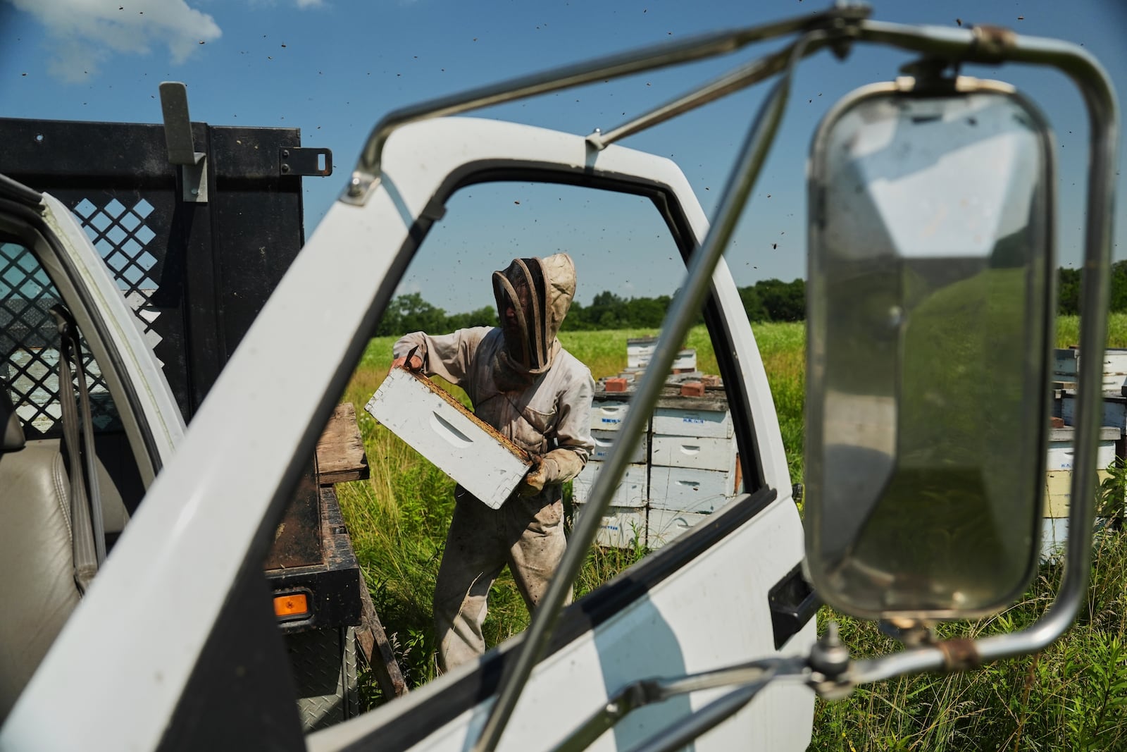 Isaac Barnes places a full honeycomb onto the back of his truck Tuesday, June 24, 2025, in Williamsport, Ohio. (AP Photo/Joshua A. Bickel)