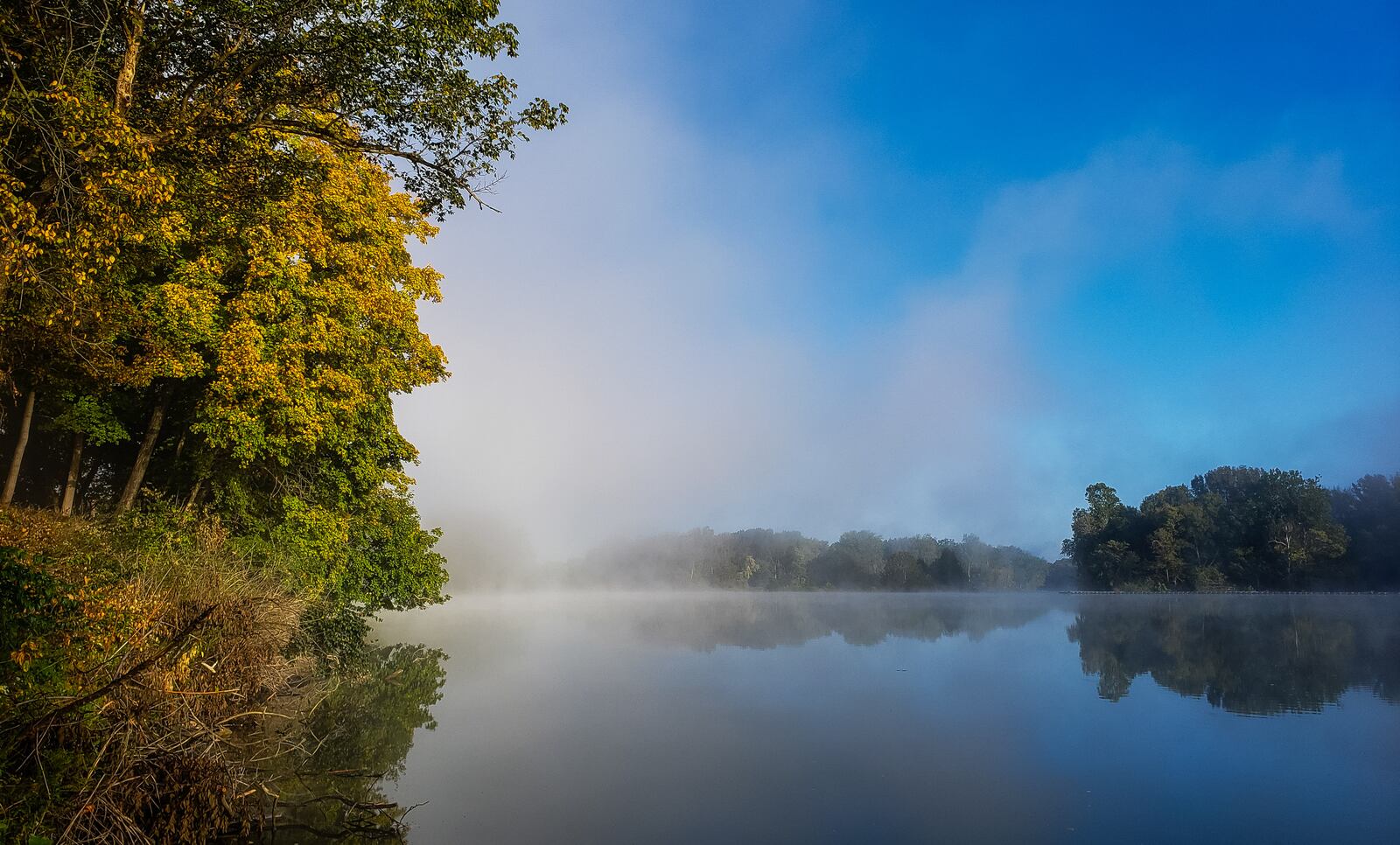 Leaves on trees around Butler County are turning colors in Fall of 2020. This is Rentschler Forest MetroPark situated along the bank of the Great Miami River. NICK GRAHAM / STAFF