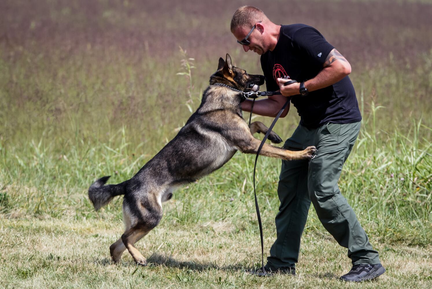 090820 k9 training