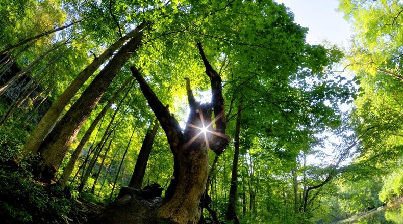 John Bryan State Park and its limestone gorges are just a mile away from Yellow Springs. STEPHANIE O’GRADY/OHIO DEPARTMENT OF NATURAL RESOURCES