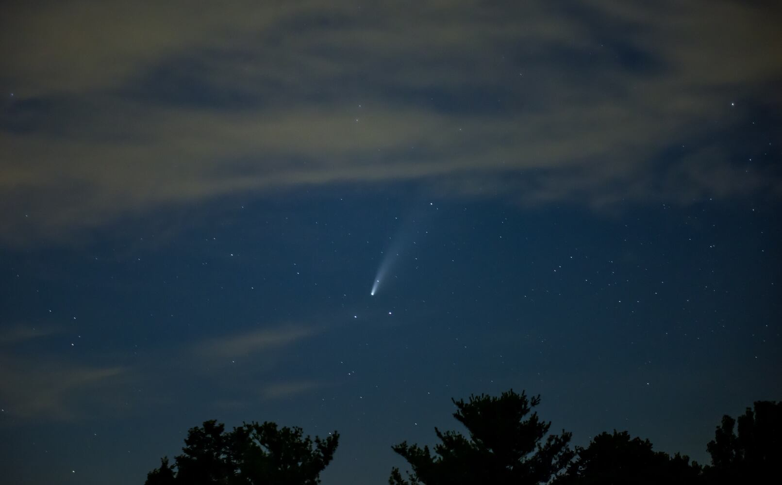 NEOWISE comet visible in the night sky
