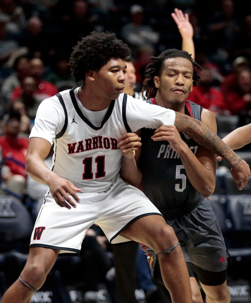 Wayne Princeton basketball