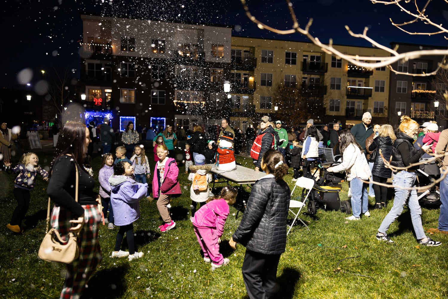 Hamilton Welcomes The Holidays 2025