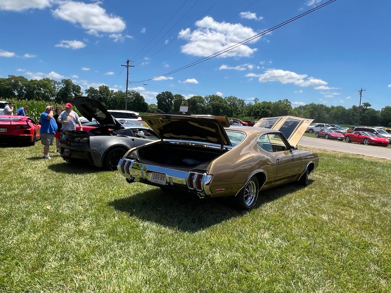 Cruise in