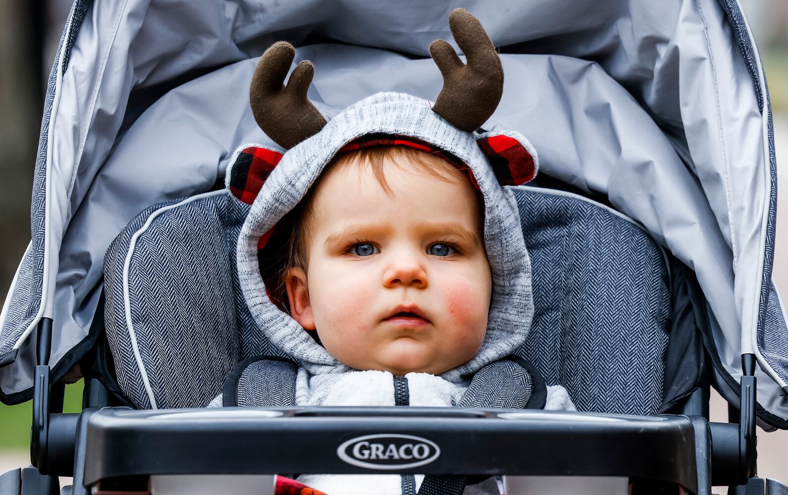 120521 German Village Christmas Walk