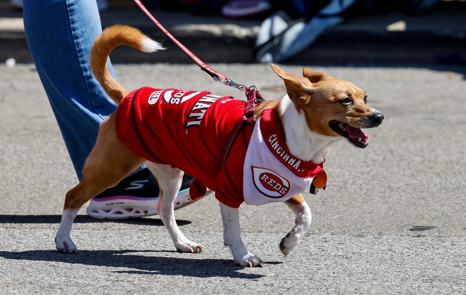 033023 Reds Parade