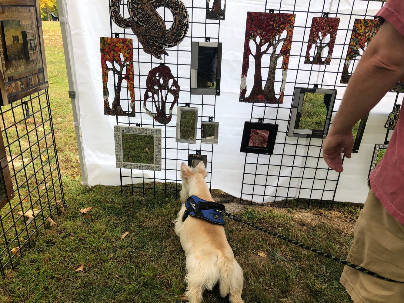 Art and Music Festival at Pyramid Hill