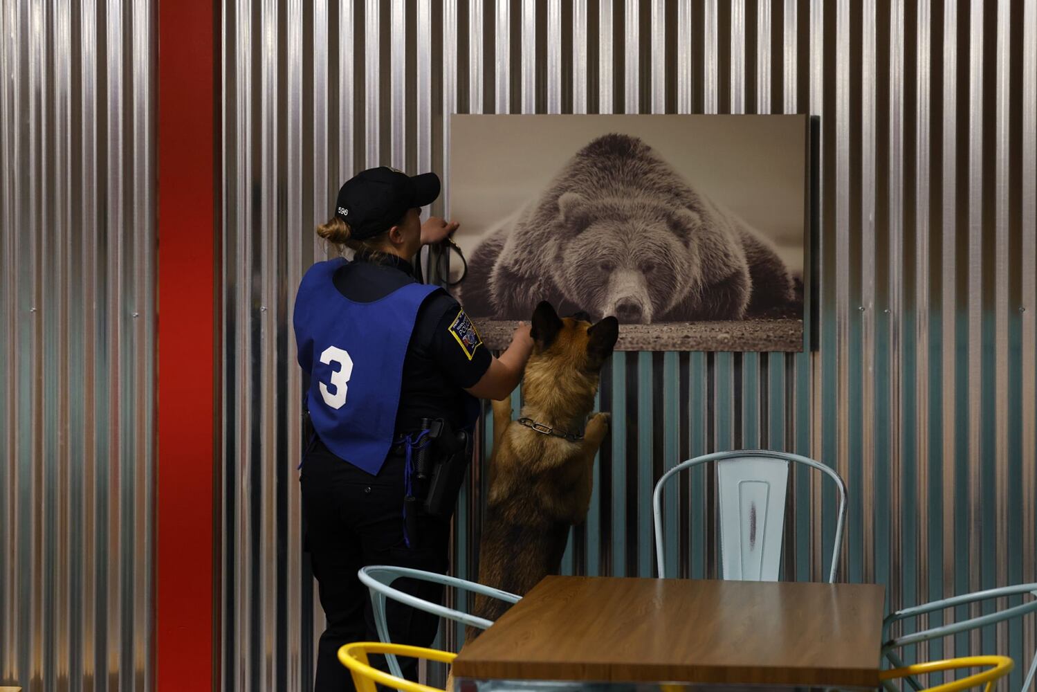 051622 police dogs
