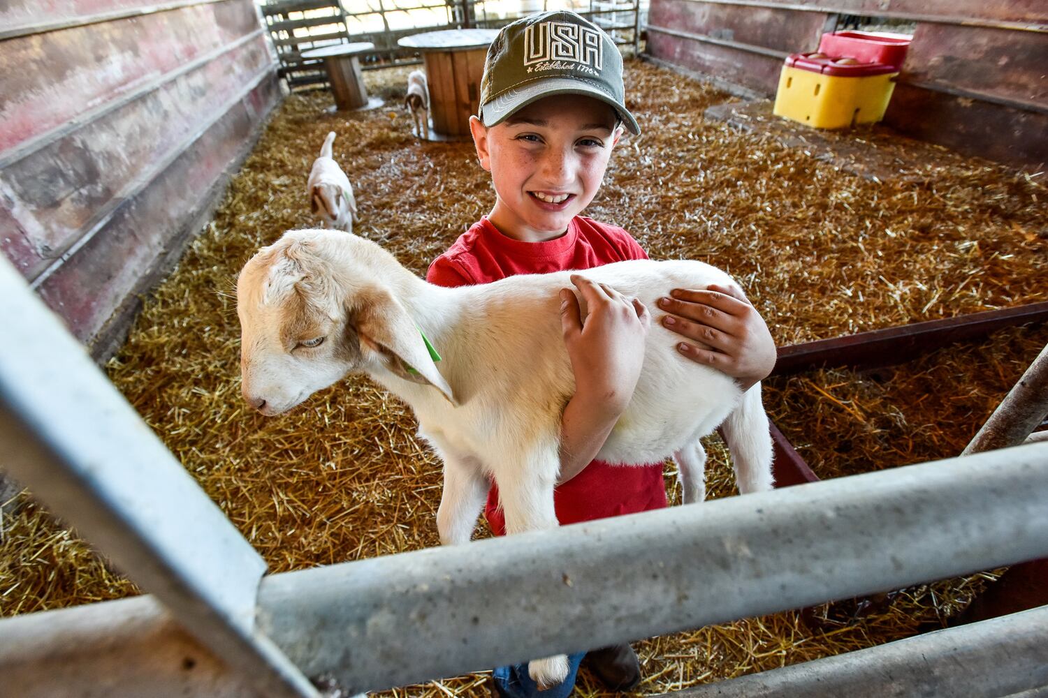 Jackson Family Farm offers visitors a chance to learn about farm life
