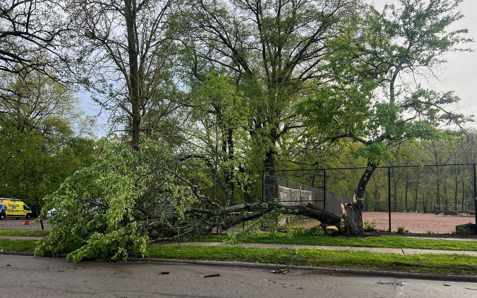 Fallen trees from the stormy weather in Regent Square in Pittsburgh, Tuesday, April 29, 2025. (Samara McCallum/Pittsburgh Post-Gazette via AP)