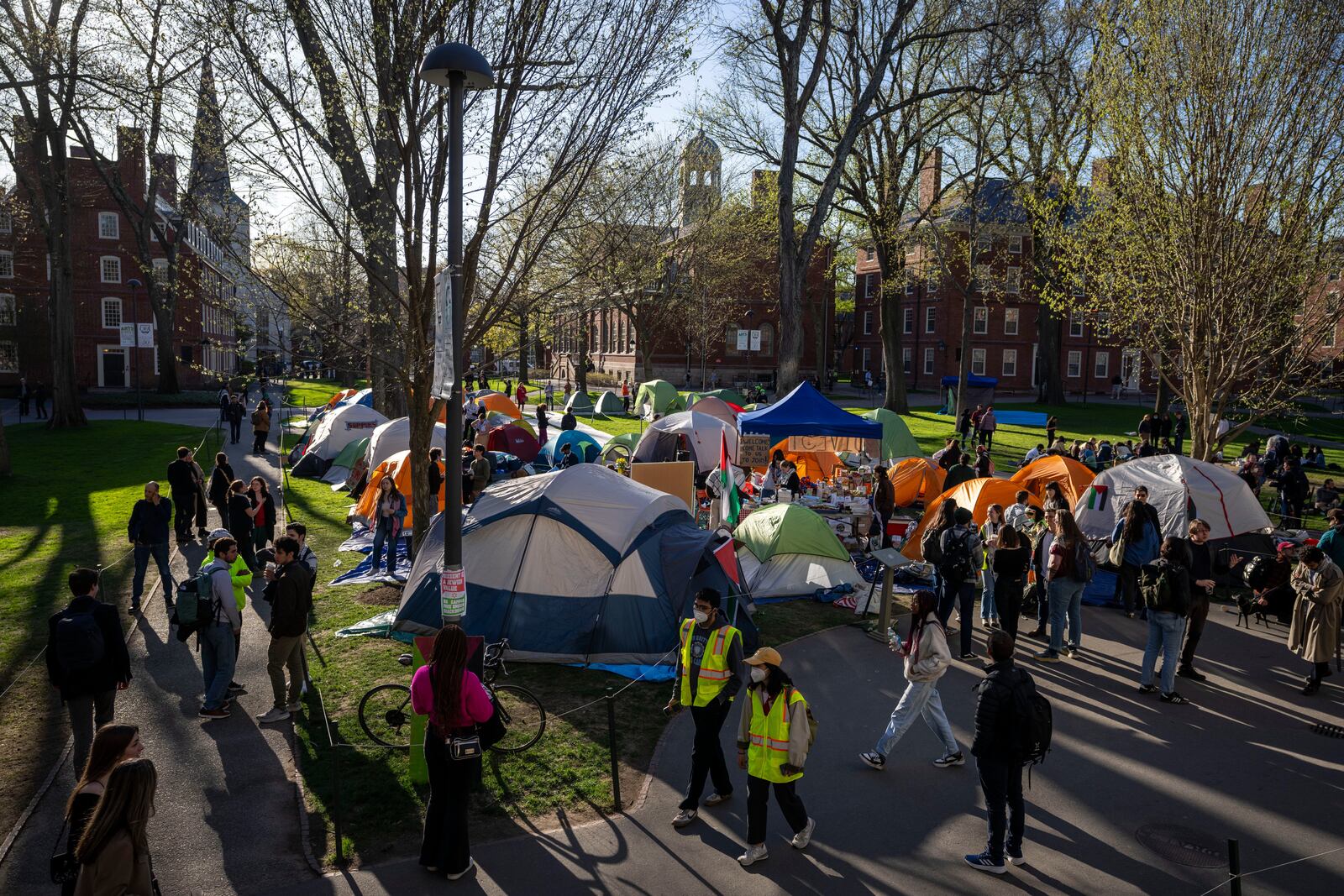 FILE - Students protesting against the war in Gaza, and passersby walking through Harvard Yard, are seen at an encampment at Harvard University in Cambridge, Mass., on April 25, 2024. (AP Photo/Ben Curtis, File)