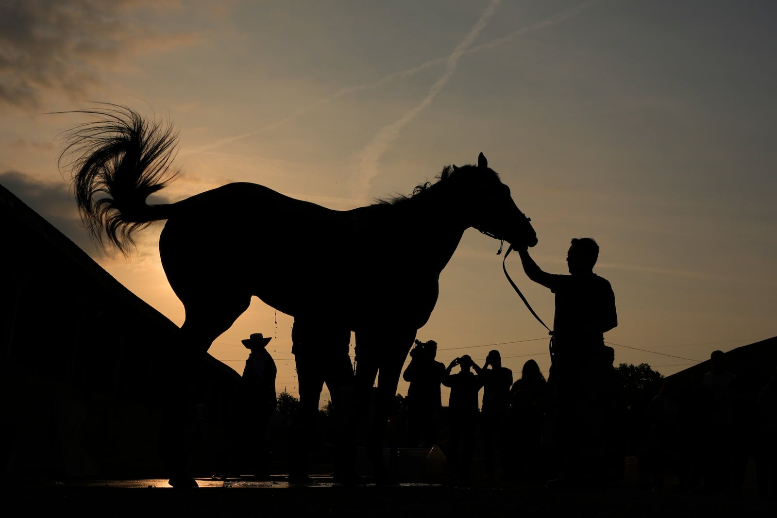 Kentucky Derby entrant Journalism gets a bath after a workout at Churchill Downs Tuesday, April 29, 2025, in Louisville, Ky. (AP Photo/Charlie Riedel)