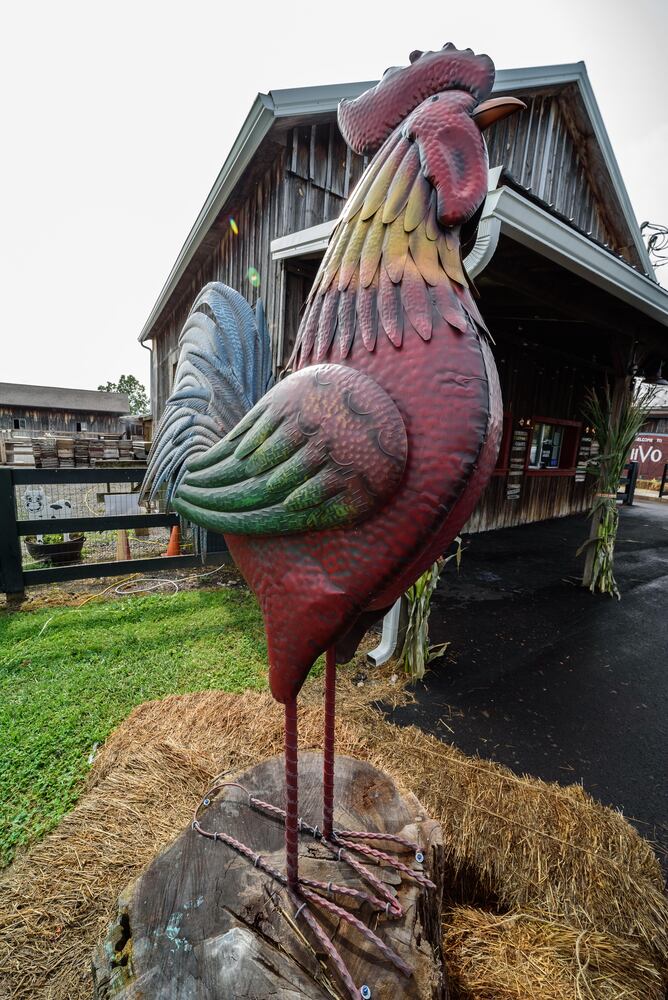 Hidden Valley Orchards