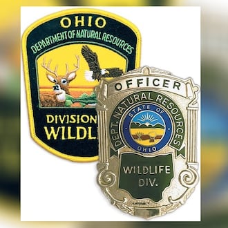 ODNR may participate in a study introduced by a house bill to bring elks back to Ohio.
CONTRIBUTED / ODNR