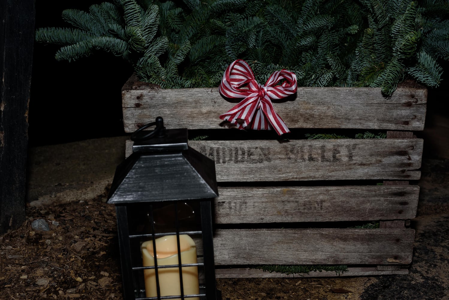 PHOTOS: Holiday Luminary Walk & Live Nativity at Hidden Valley Orchards