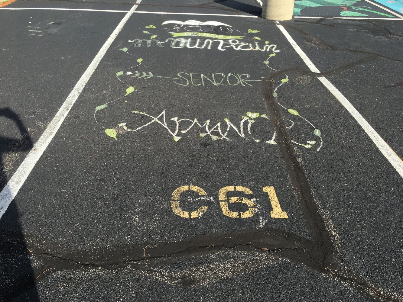 hamilton parking 2022