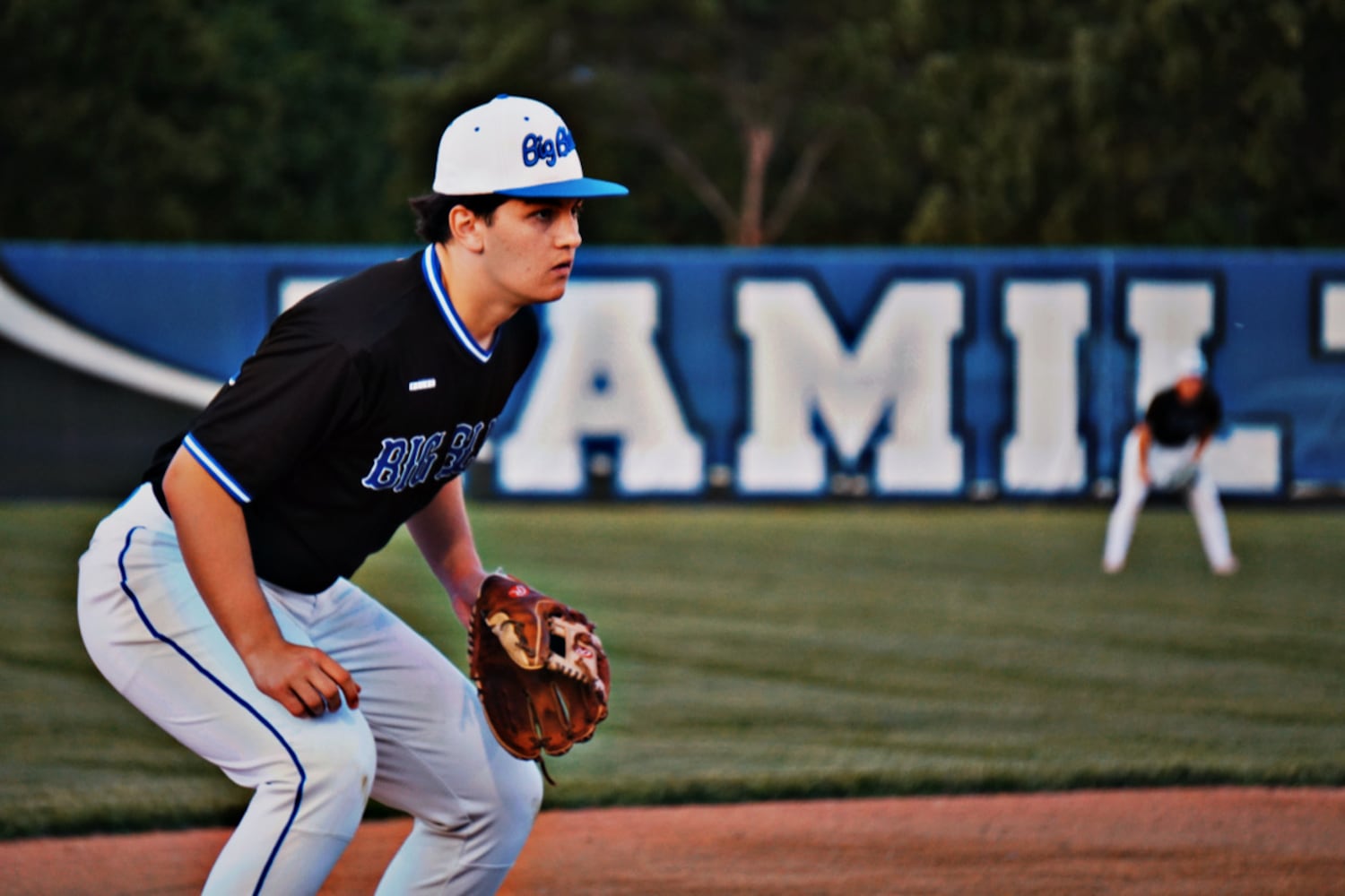 Hamilton third baseman
