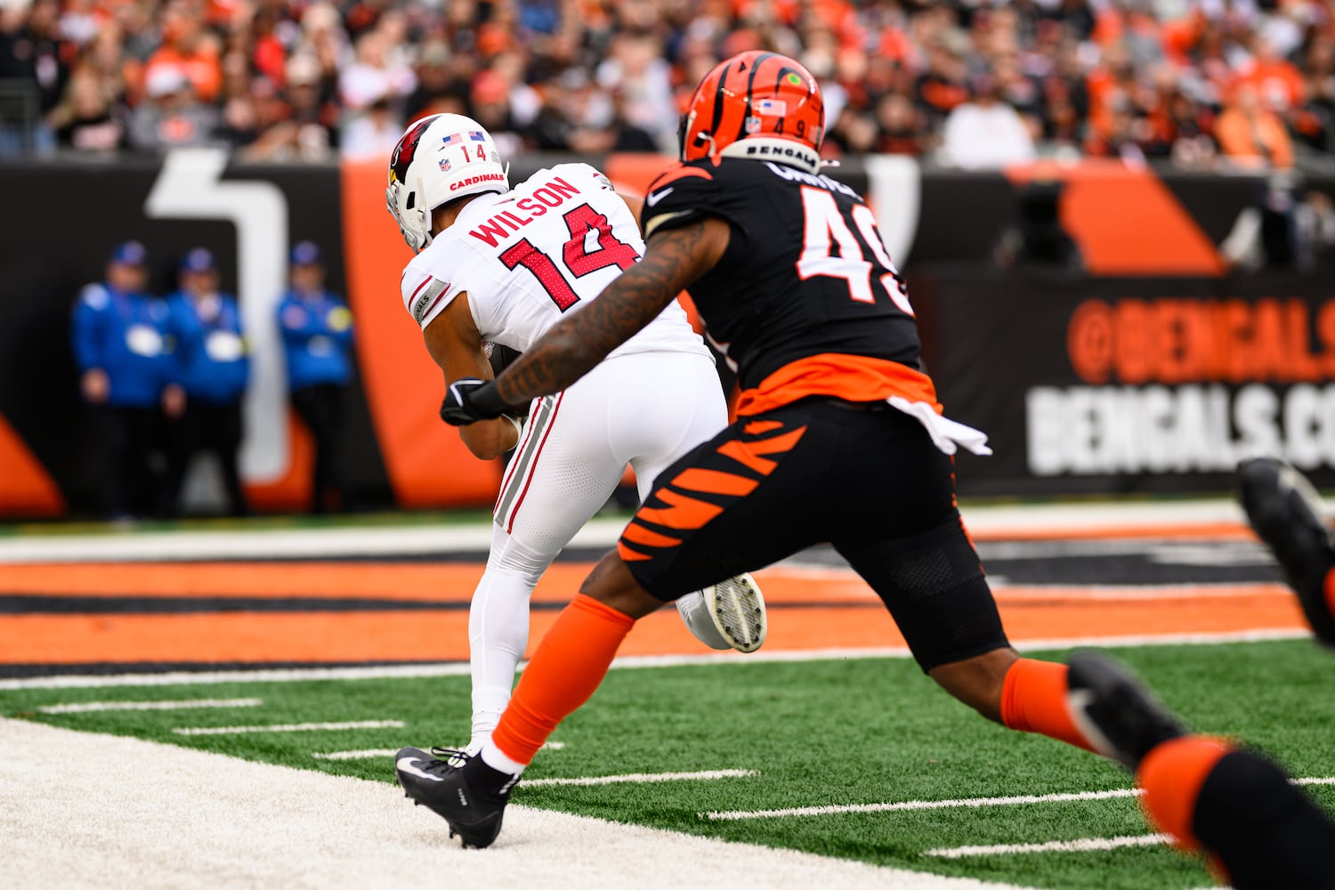 bengals cardinals