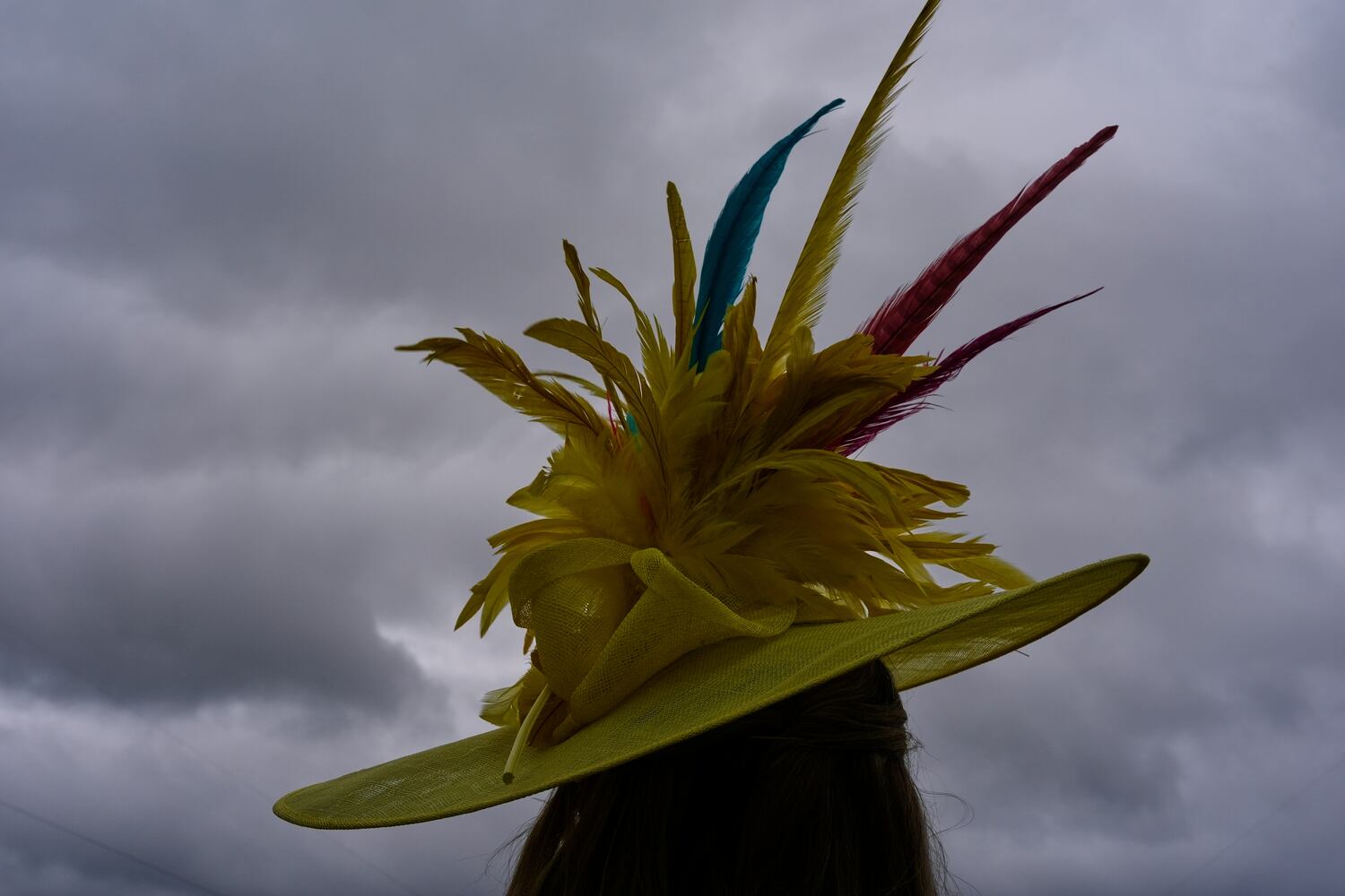 Kentucky Derby Horse Racing